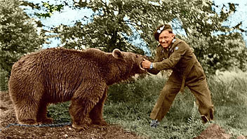Wojtek at play with a soldier